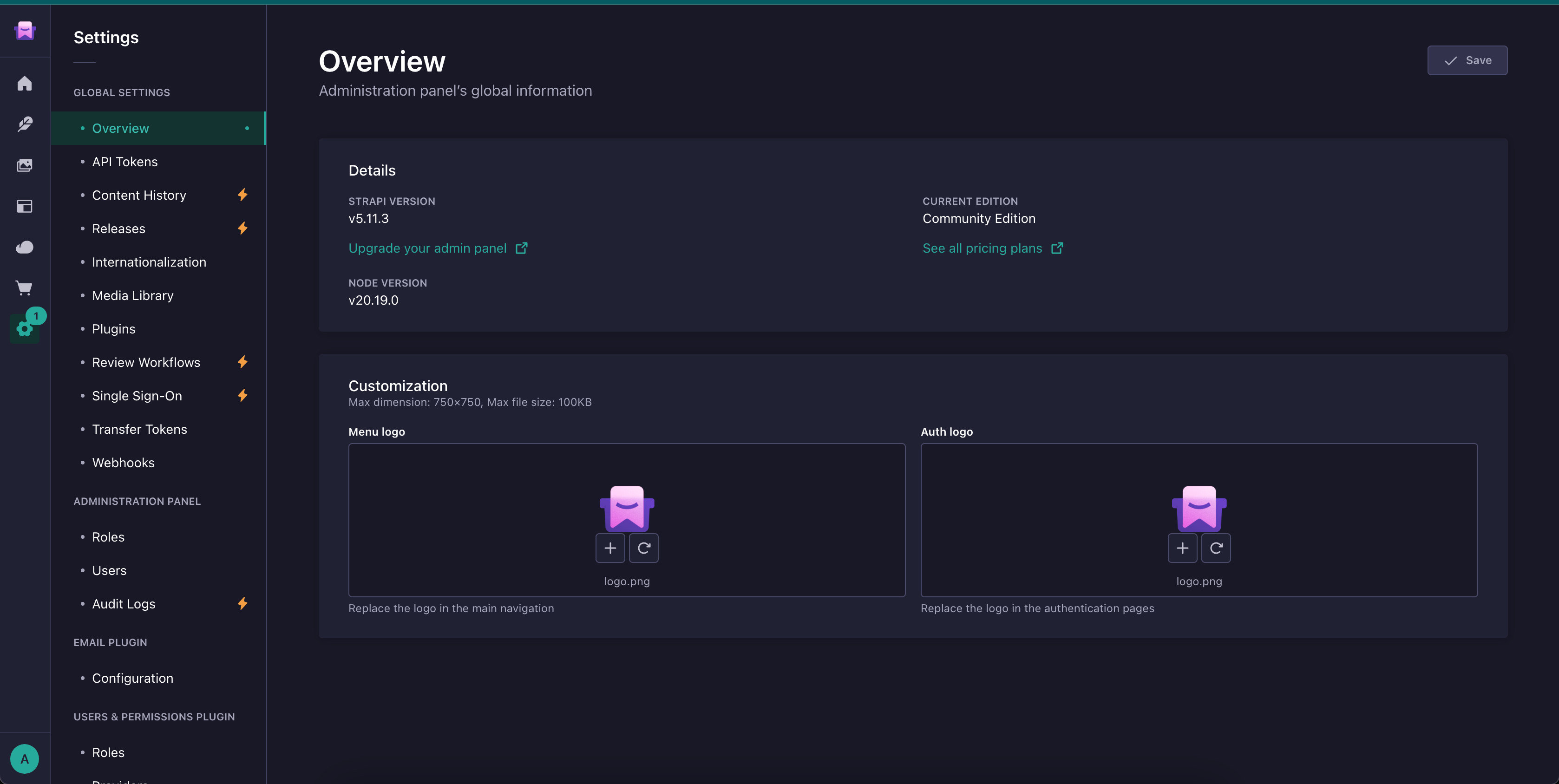 Strapi admin panel themed with custom brand colors and logo