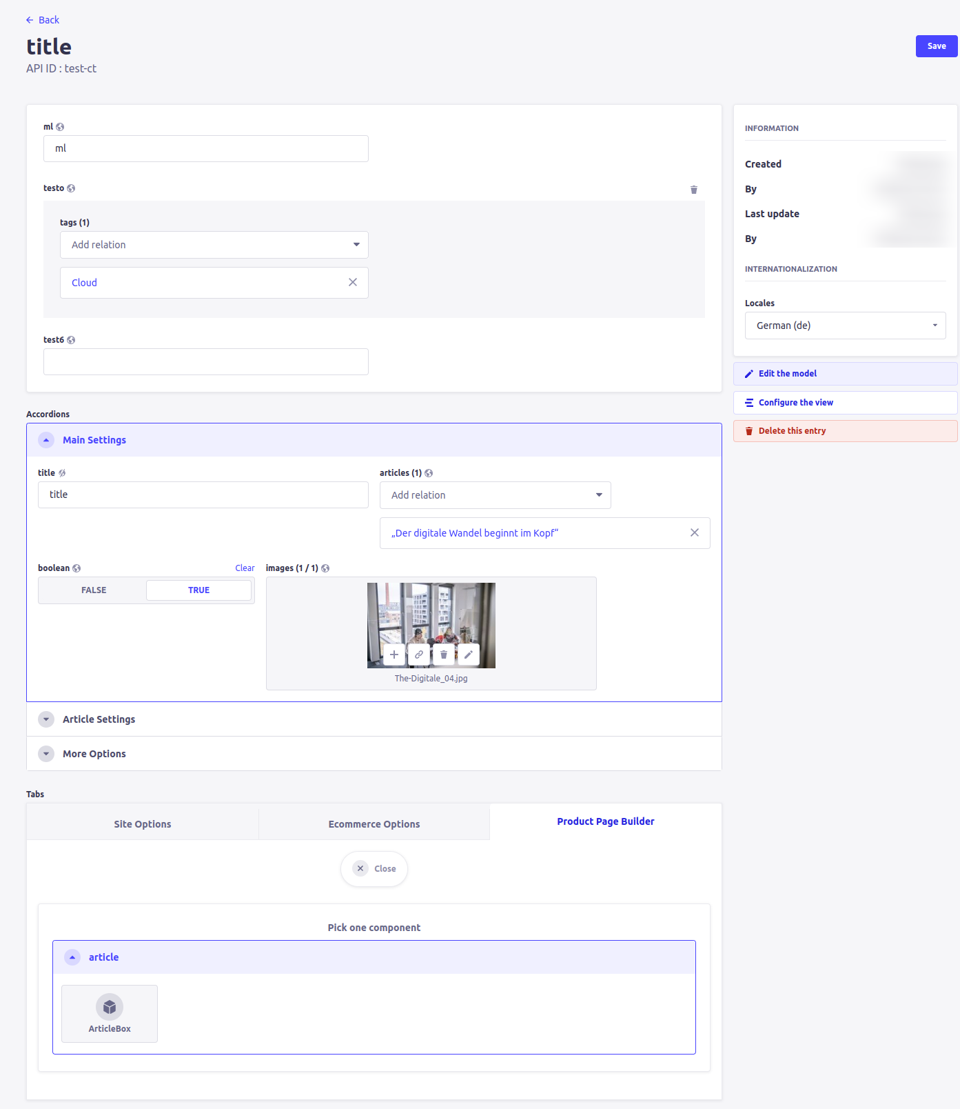 Tabs & Accordions field grouping — accordion view